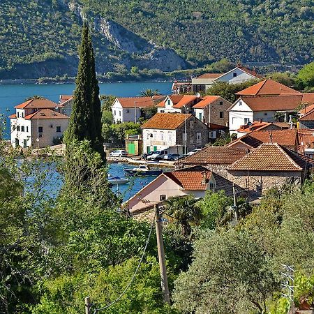 Apartments Dinko Zifra Tivat Extérieur photo