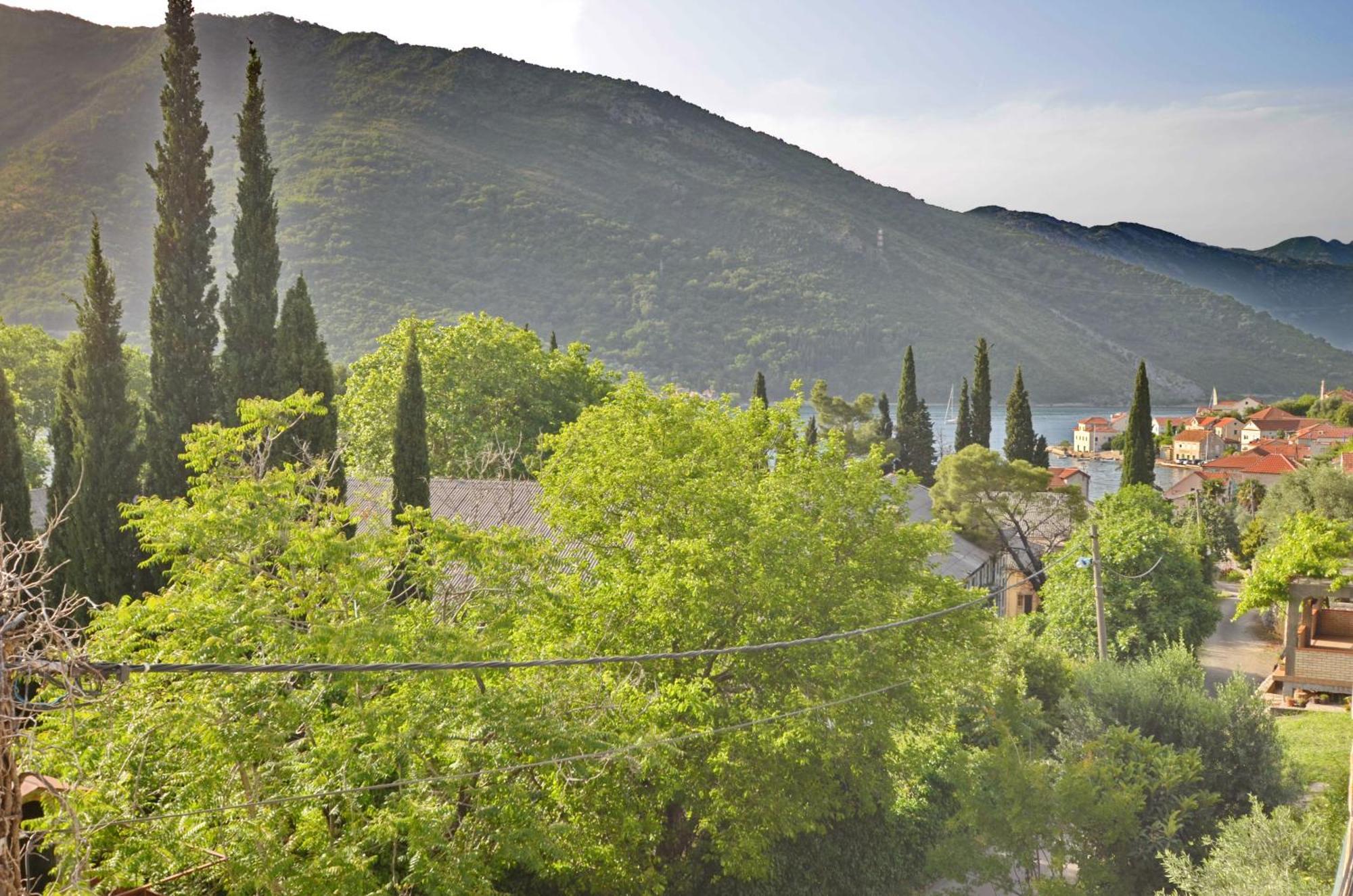 Apartments Dinko Zifra Tivat Chambre photo